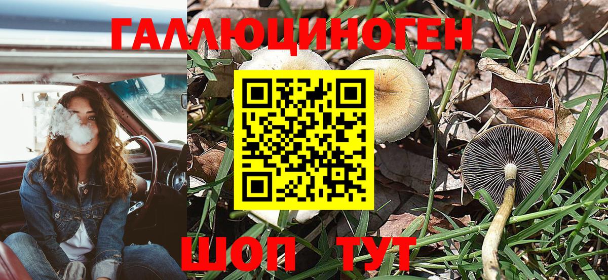 Галлюциногенные грибы мухоморы Ярцево