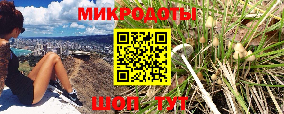 Псилоцибиновые грибы Cubensis  Вход с VPN  Ярцево 